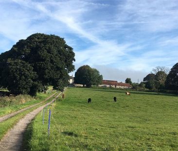 2 bedroom detached house to rent - Photo 6