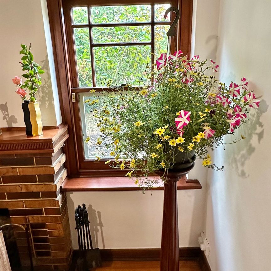 Camberwell - Photo 1