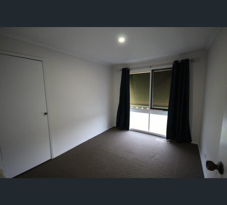 318 Tracy Street, Albury, NSW 2640 - Photo 2