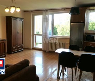 Mieszkanie na wynajem Kwidzyn - wynajem - Zdjęcie 6