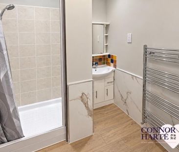 167a Drum Road, Cookstown, BT80 9DW - Photo 4