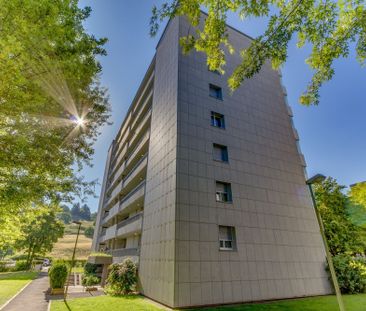 Beautiful residential location on the outskirts of Liestal - Photo 1