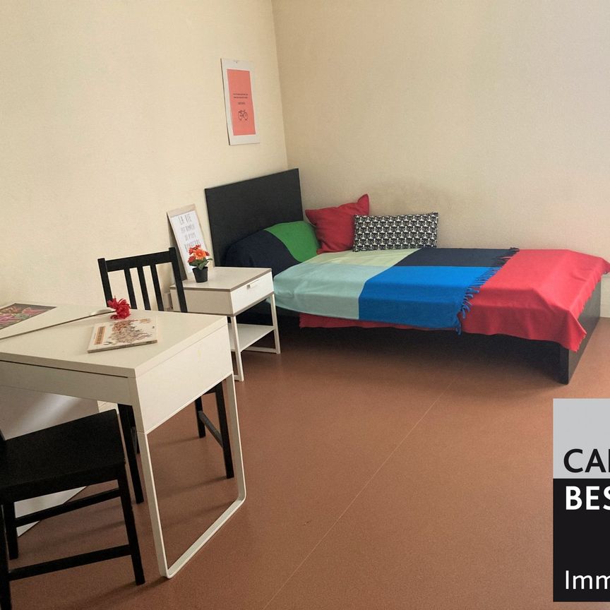 Location Appartement 1 pièce 24m² GRENOBLE 38000 - Photo 1