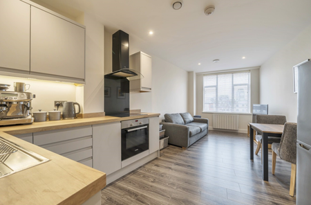 The Feathers Apartments, Feathers Yard, RG21 - Photo 5