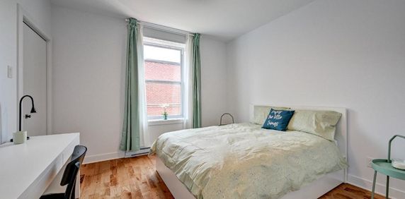 Colocation pour étudiantes à Montréal - Photo 2