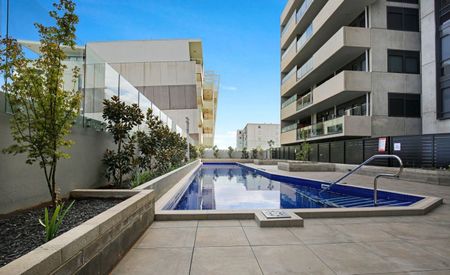 Modern, Spacious & Light Filled Apartment! - Photo 4