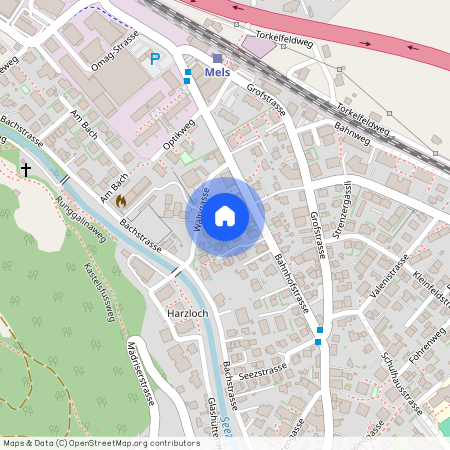 Wältigasse 7, 8887 Mels