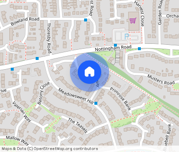 Campion Way, Bingham - Photo 1