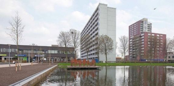 Plein 1953 0ong, 3086 Rotterdam, Nederland - Foto 2