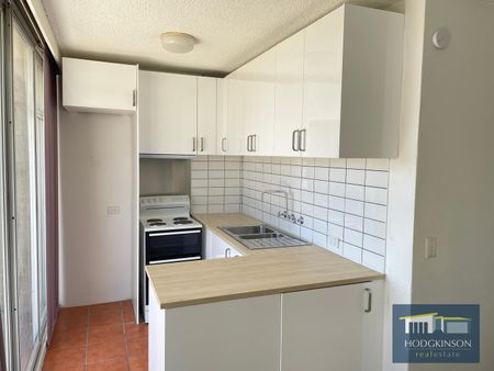 77/4 Wilkins Street, Mawson ACT 2607 - Apartment For Rent | Domain - Photo 4