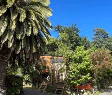 Cashmere Tree House Studio - Photo 1