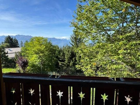 Charmant chalet proche du centre de Crans avec sauna et jardin - Foto 1