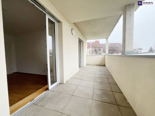 EINMALIGE 2-3 Zimmer Wohnung! Auch als WG geeignet! Großzügiger WESTBALKON! Ab sofort verfügbar! Haustiere erlaubt! - Photo 1