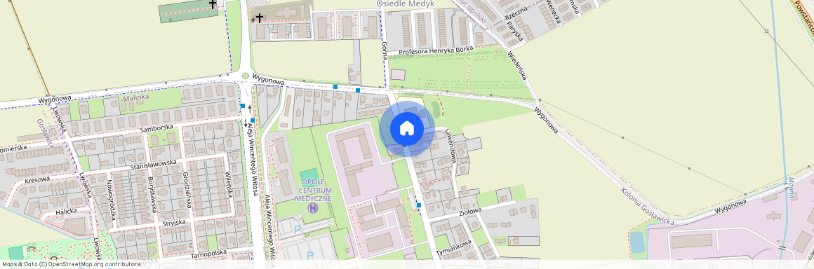 ul. Górna, Kolonia Gosławicka, Opole, opolskie