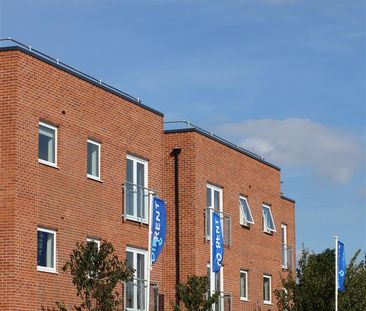 1 Bedroom Apartment To Rent - Photo 5