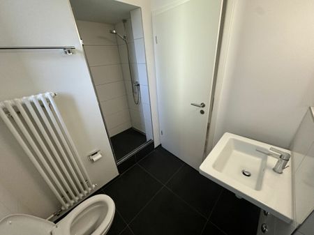 Light-flooded and renovated! - Photo 5