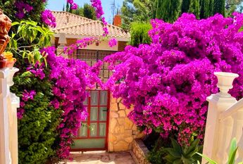 LONG TERM RENTAL. Spacious villa with 6 bedrooms for rent.