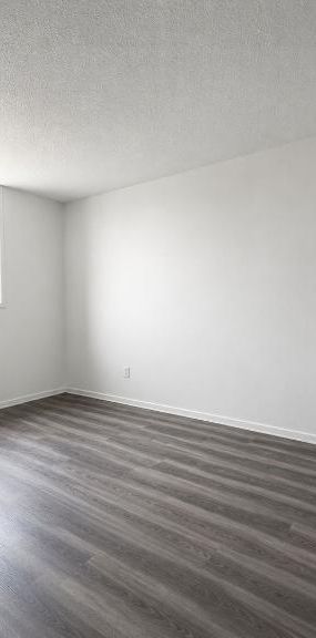 2 CH - 1 SDB - Montréal - $1,250 /mo - Photo 1