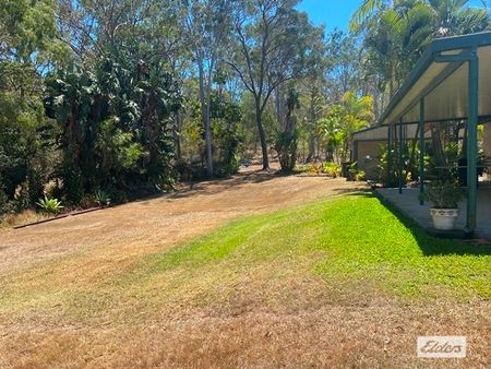 441 Bingham Road - Photo 2