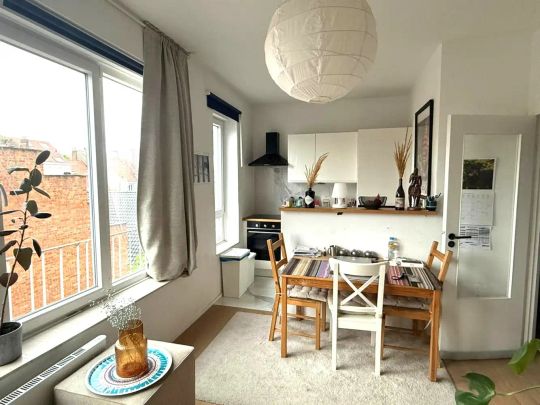 Gerenoveerde studio van 35m² op wandelafstand van het Fernand Cocqplein - Foto 1