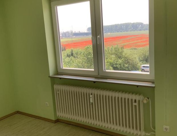 3-Zimmer-Wohnung in Offenbach an der Queich - Foto 1