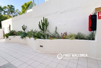 7 Carrer de la Lluna, Calvià, Balearic Islands 07181