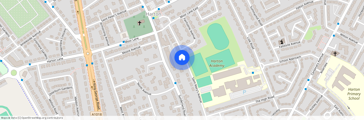 38 St Marys Ave South Shields NE34 6AG