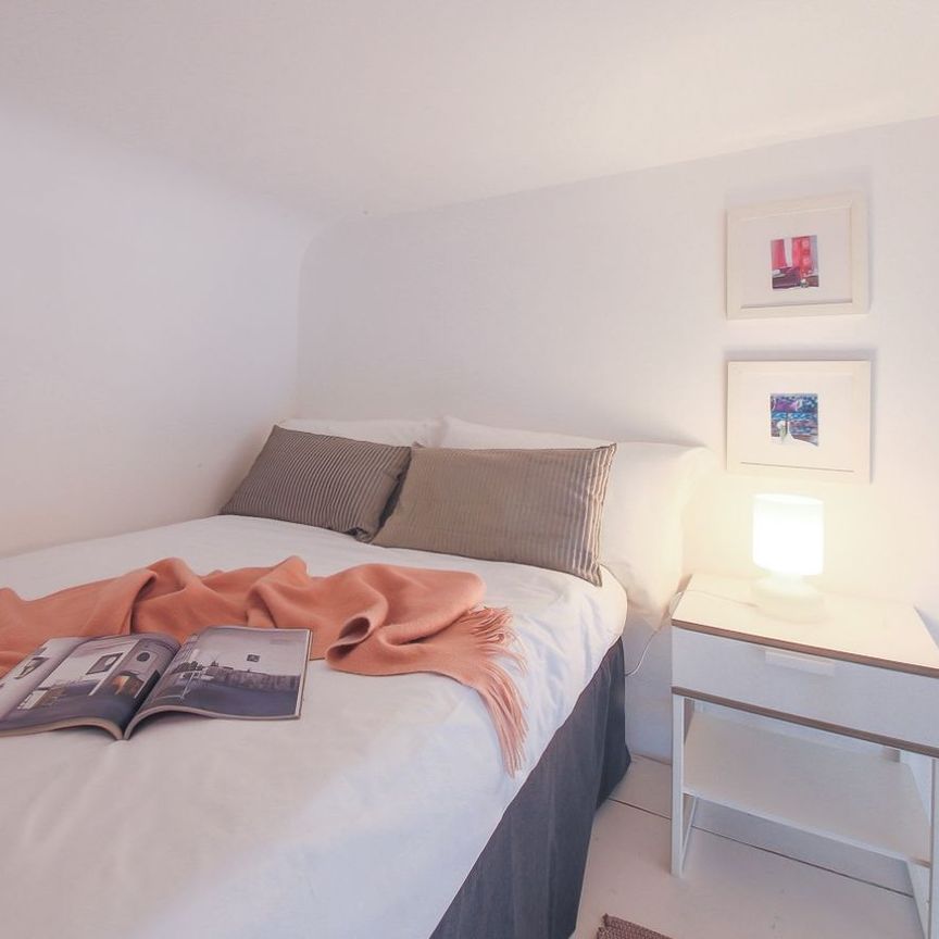 Cozy Alfani - Photo 1