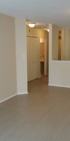 all new appliances new floor one bedroom apartment Maple Ridge - Photo 1