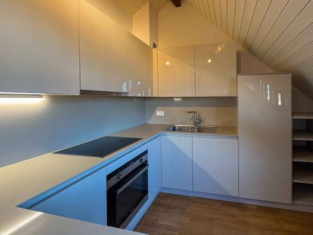 Appartement de 4 pièces à Carouge - Photo 4