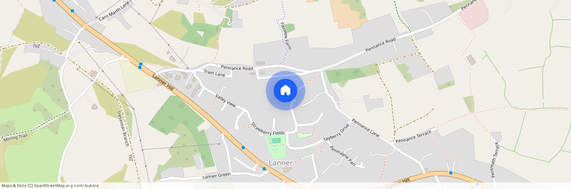 Pennance Parc, Lanner, TR16 5TY