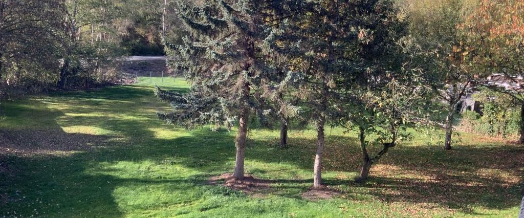 2-Zimmer-Wohnung in Gelsenkirchen Buer - Photo 1