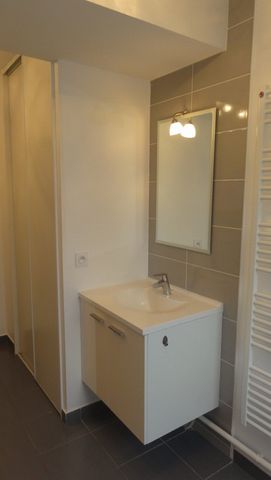 Location Appartement 2 pièces 40m² DOMENE 38420 - Photo 5