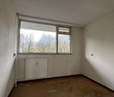 Heiloostraat 343, 2547 KH, 's-Gravenhage - Photo 4