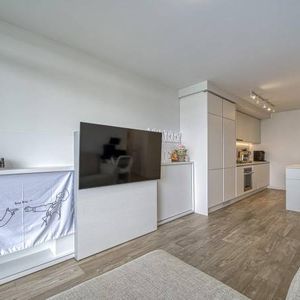 🏡 1 Bed and 1 Bath in Burquitlam / Move-in April 1, 2025 🏡 - Photo 2