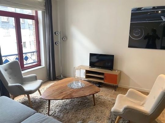 Parc Botanique! BEL APPARTEMENT MEUBLE 1 chambre + terrasse - Foto 1