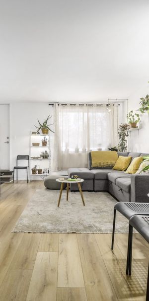 4 1/2 - Lévis - Photo 1