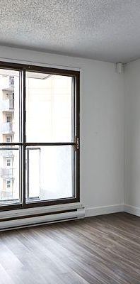 1 CH - 1 SDB - Longueuil - $1,560 /mo - Photo 1