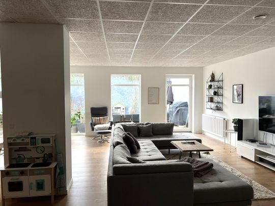 Egen terrasse og stor lys lejlighed. - Foto 1