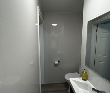 Bedsit, High Town Road, LU2 - Photo 4