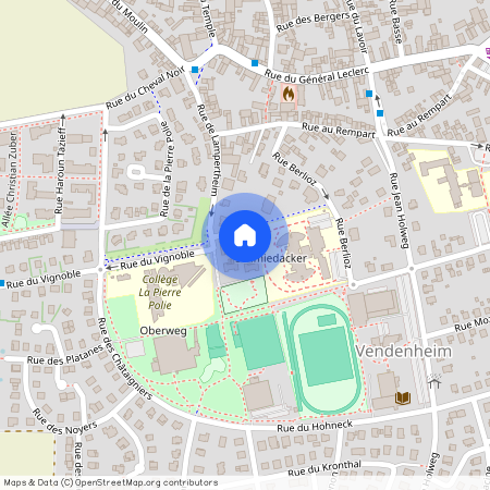 GRAND-EST, BAS-RHIN (67), 67450, Lampertheim