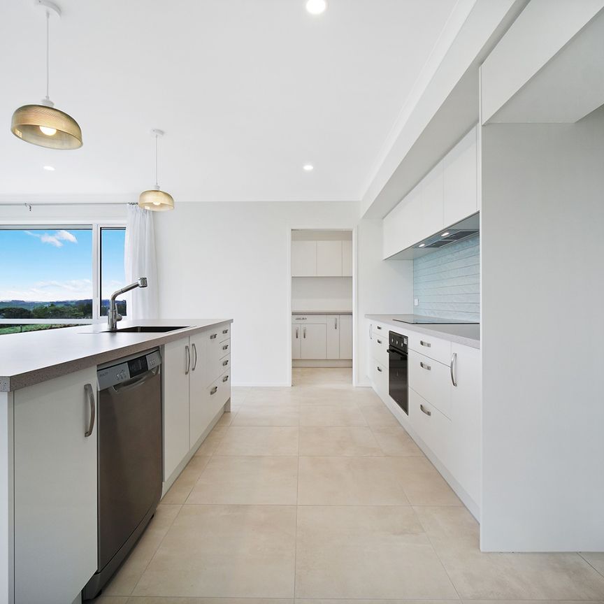 Brand New Lifestyle Home in Helensville - Photo 1