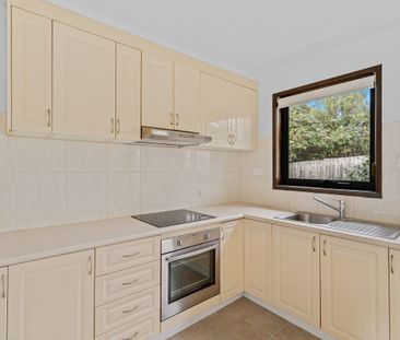 Renovated 2br home - Photo 4