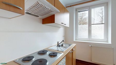 Oelweingasse/Braunhirschenpark - Erdgeschoßwohnung in guter Hausstruktur sucht liebevollen Mieter - Foto 3