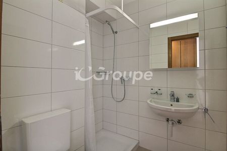 Renovated studio for rent a few steps from the city center of Sion. - Photo 2
