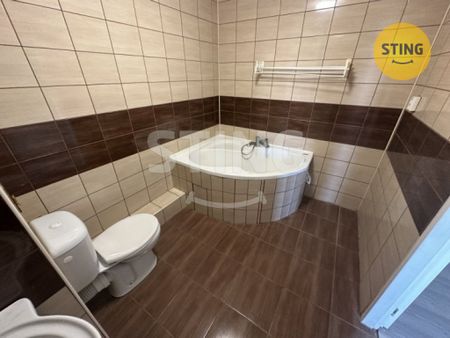 Byt 1+1 k pronájmu, Ostrava / Přívoz, ulice Arbesova - Photo 3