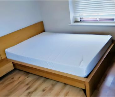 5 Bed 2 Bath - Photo 1