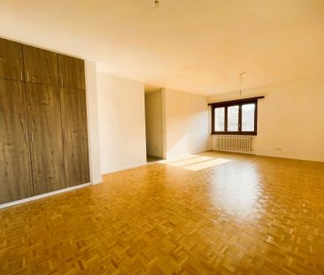 MENDRISIO – RISTRUTTURATO CON VISTA APERTA ED AMPI SPAZI - Photo 1