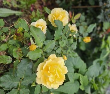 Lovely and Modern Family Home - Close to Amenities - Photo 6