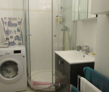Location Appartement 1 pièce 33m² SAUSSET LES PINS 13960 - Photo 3